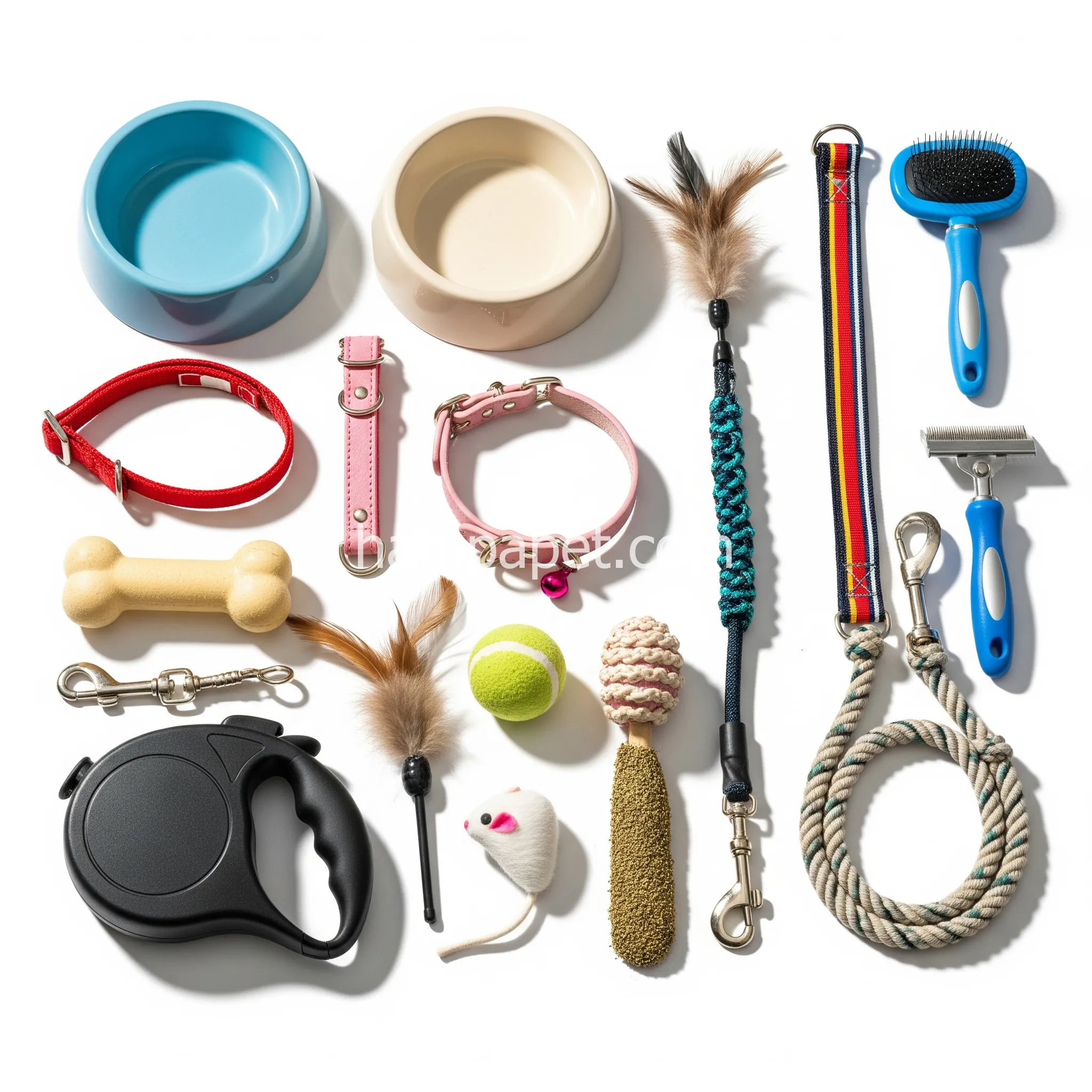 پت شاپ حیوانات خانگی