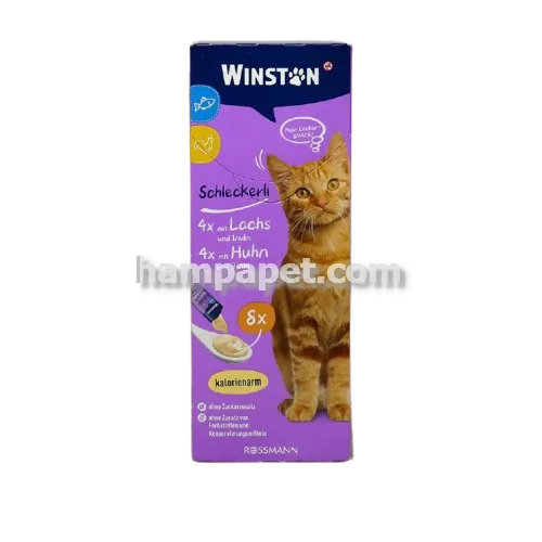 همپا پت خرید و فروش بستنی گربه وینستون در تهران شهرک آپادانا