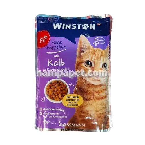 همپا پت خرید و فروش پوچ وینستون در تهران شهرک آپادانا