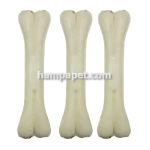 همپا پت خرید و فروش استخوان تک عددی فلامینگو در تهران شهرک آپادانا