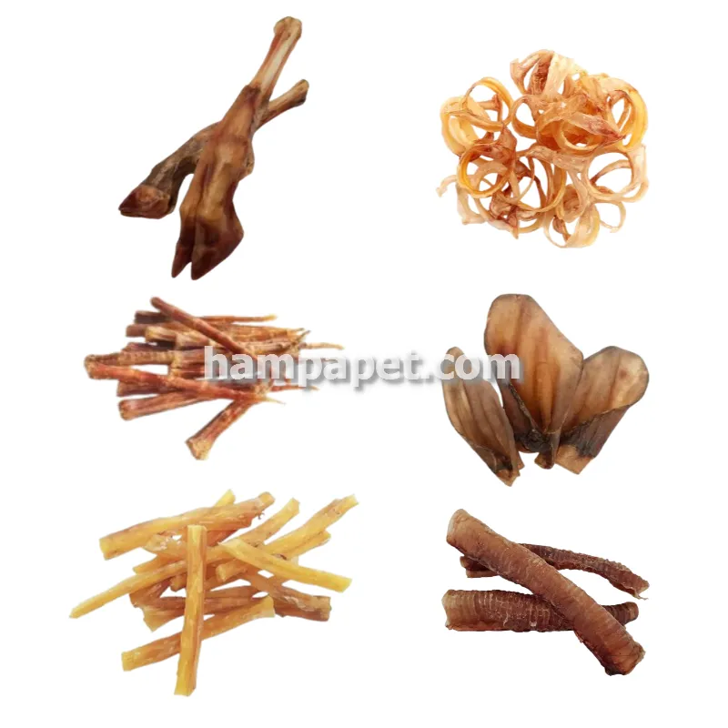 همپا پت خرید و فروش تشویقی فله سگ در تهران شهرک آپادانا