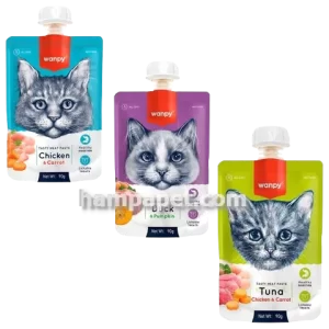 همپا پت خرید و فروش پودینگ ونپی گربه چینی در تهران شهرک آپادانا