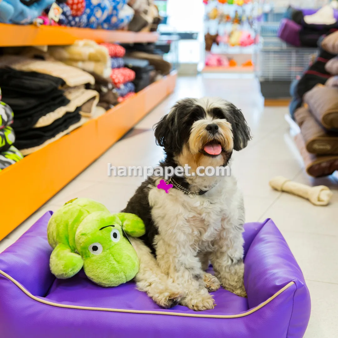 فروش لوازم سگ و گربه قلاده و تجهیزات نگهداری در تهران