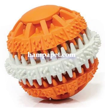 همپا پت خرید و فروش دندانی و مسواک تشویقی خور الما در تهران شهرک آپادانا